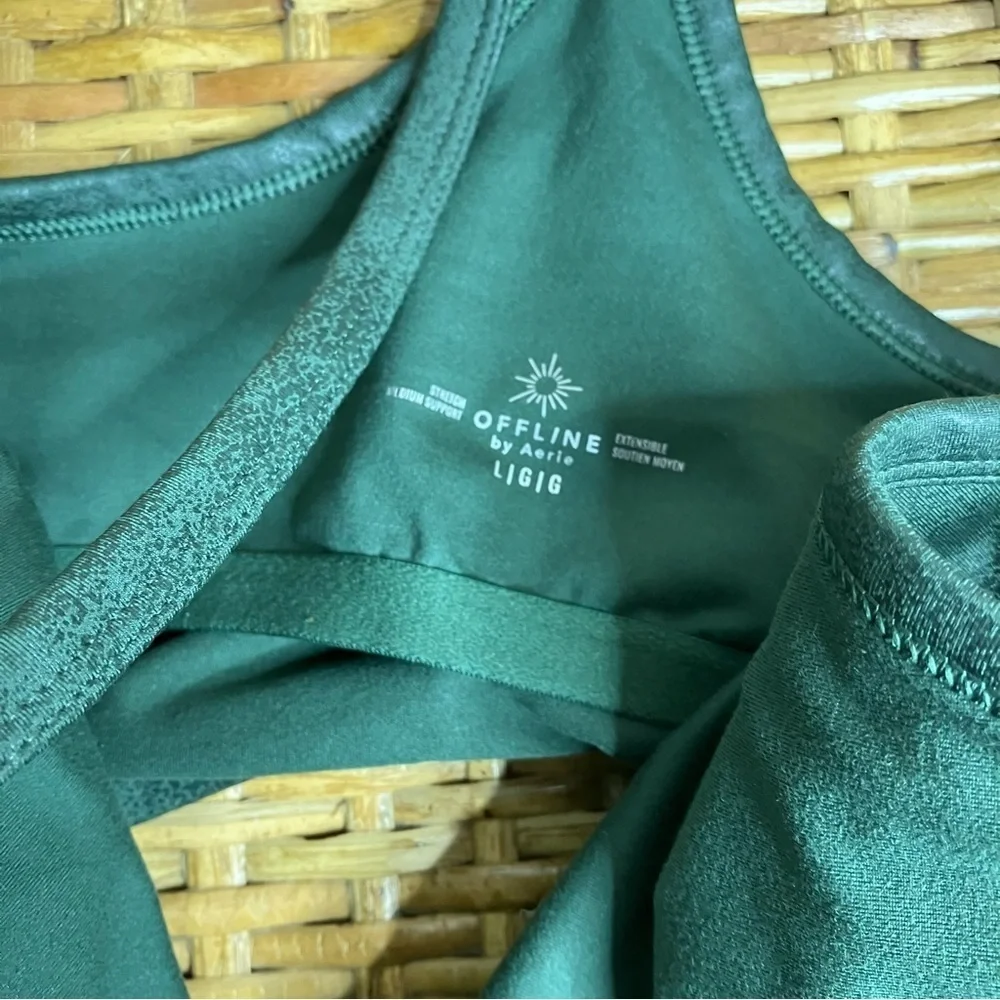 aerie size large